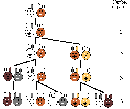 Fluffy bunnies family tree